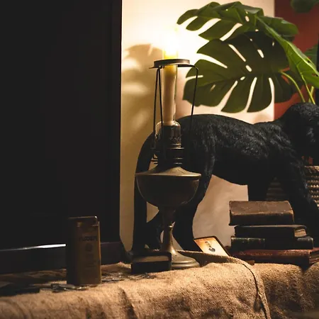 L'insolite, Safari D'exception A Apartment