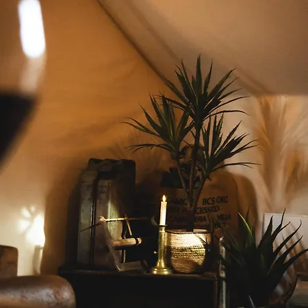 L'insolite, Experience Safari Chic A